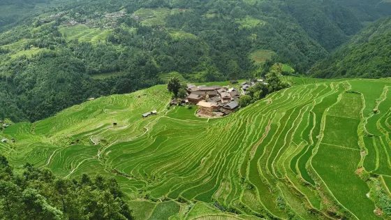 東鵬梯田