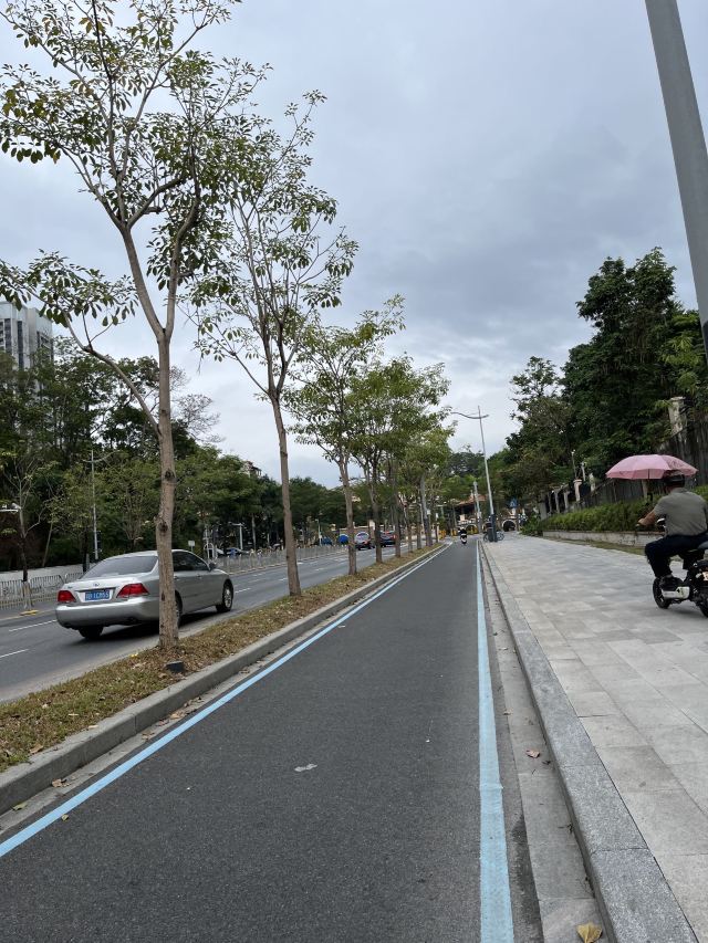 尖岗山公园旅行图片 1