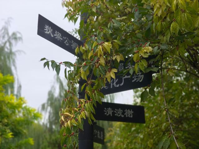 狄仁杰文化公园旅行图片 5