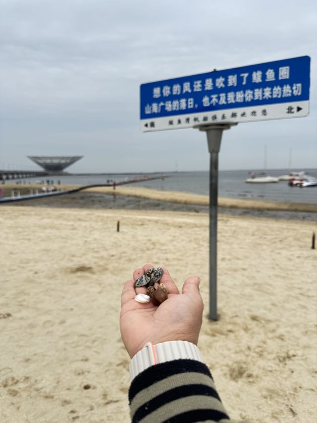 山海广场旅行图片 3