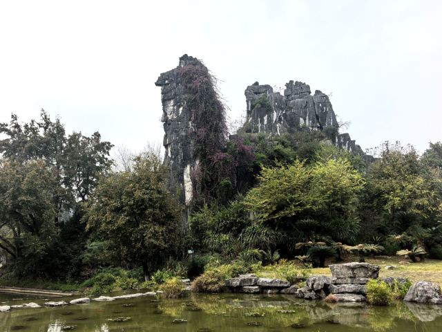 七星景区旅行图片 3