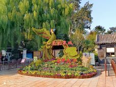 石湾泉-济南-郭润龙浪迹天涯