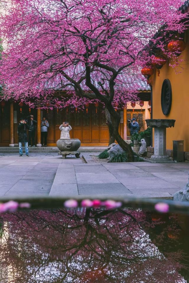 湖州铁佛寺旅行图片 3