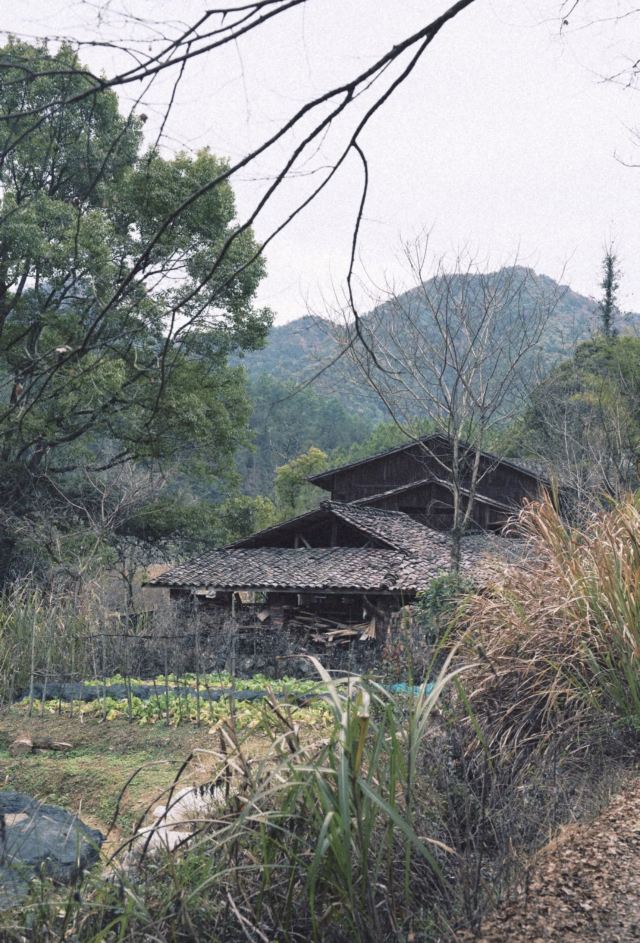 景德镇陶源谷•三宝旅游度假区·三宝蓬艺术聚落旅行图片 2
