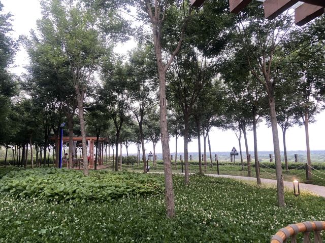高陵泾渭湿地观光园旅行图片 5