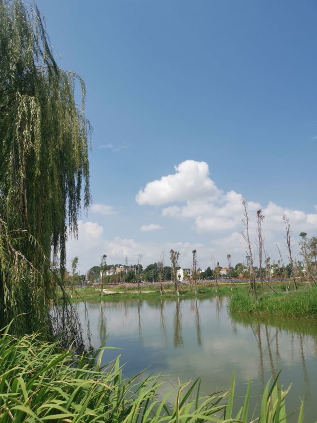 麒麟水乡旅行图片 7