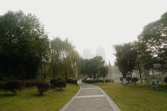 雍湖公园旅行图片 3
