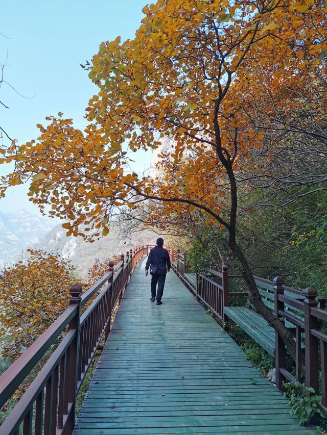 璧山景区旅行图片 15