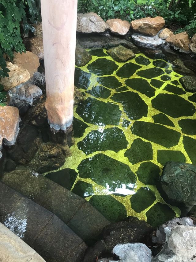 三百山温泉度假公园旅行图片 2