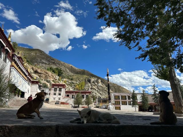色拉寺旅行图片 1