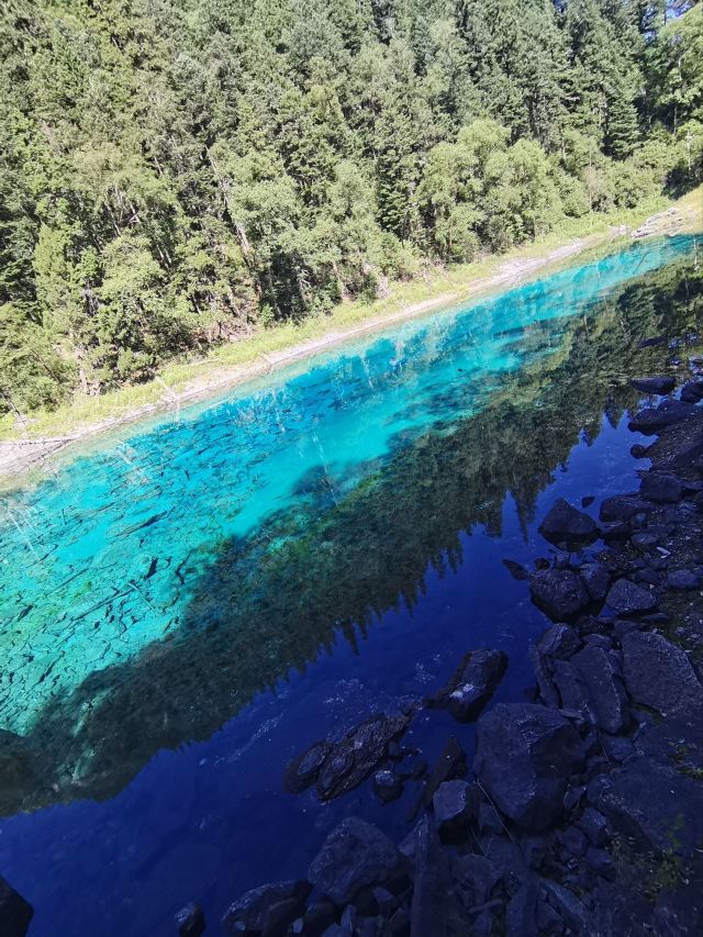 九寨沟景区五彩池观景台旅行图片 2