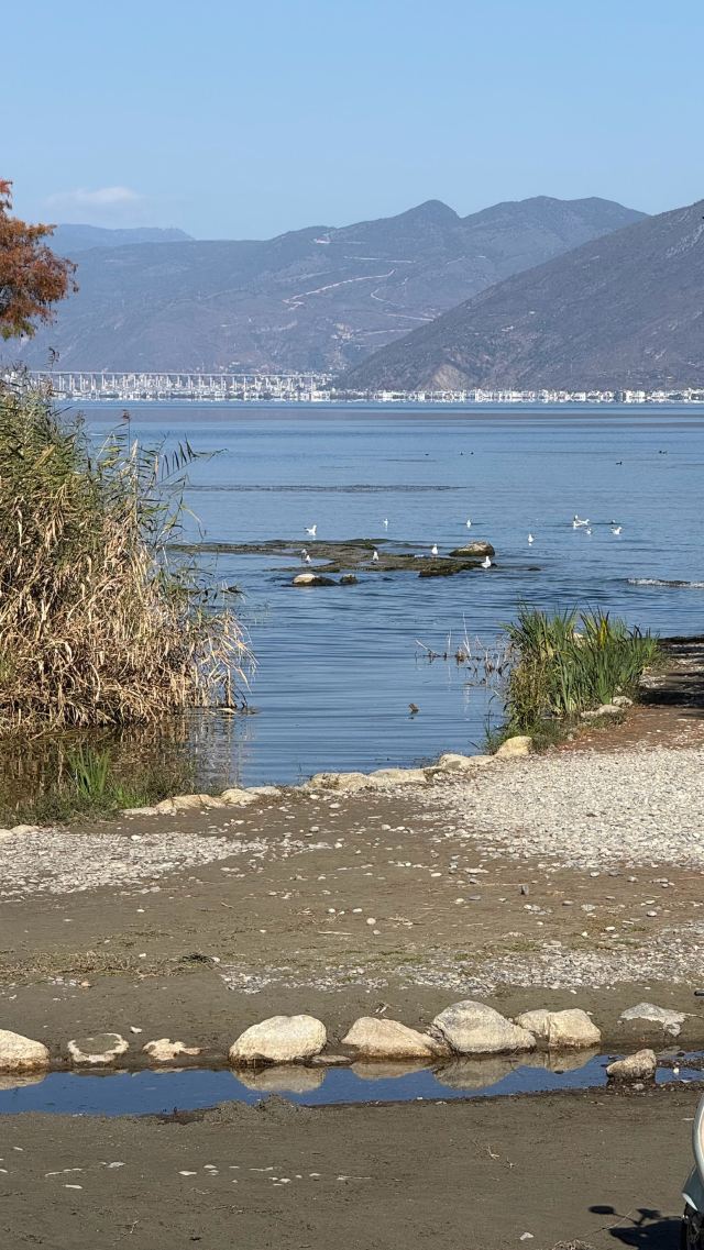 蟠溪村S湾旅行图片 3