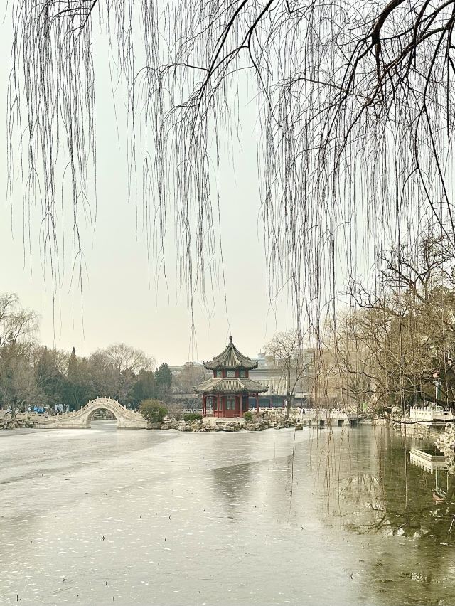 莲池书院博物馆(古莲花池)旅行图片 9