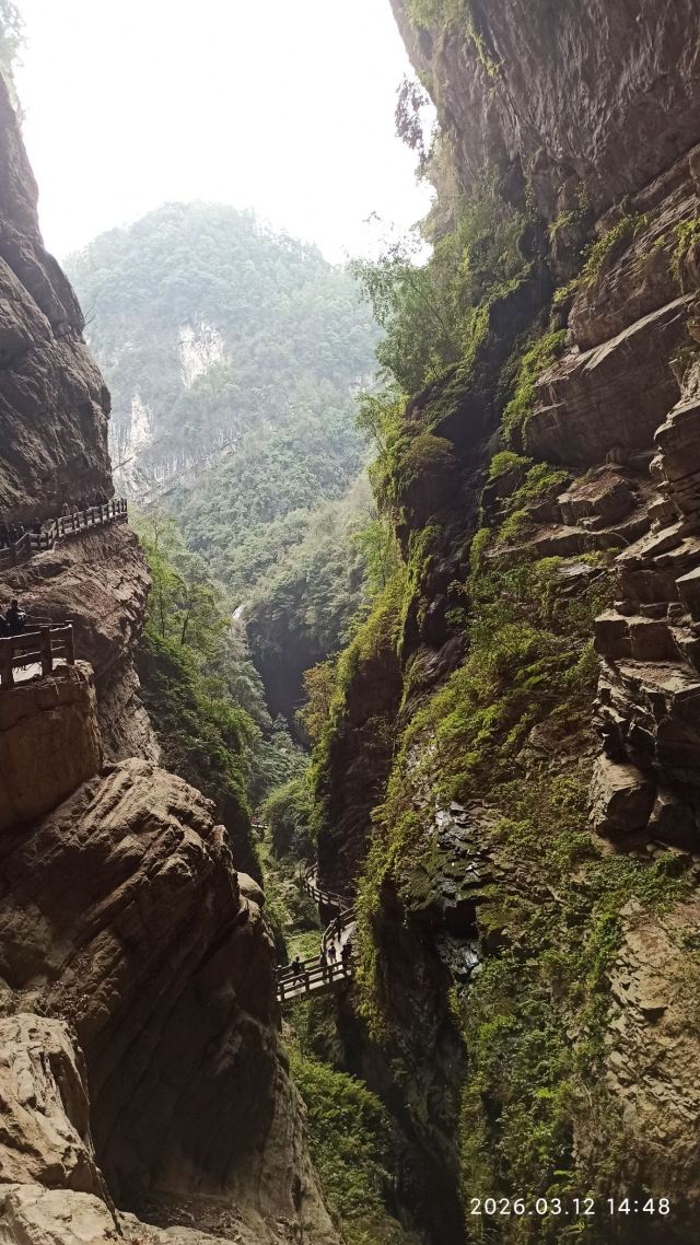 武隆喀斯特旅游区旅行图片 1