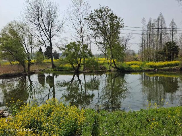 瓜洲古渡公园旅行图片 9