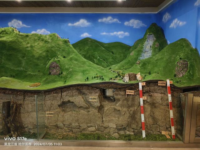 香炉山国家森林公园-自动售卖机旅行图片 10