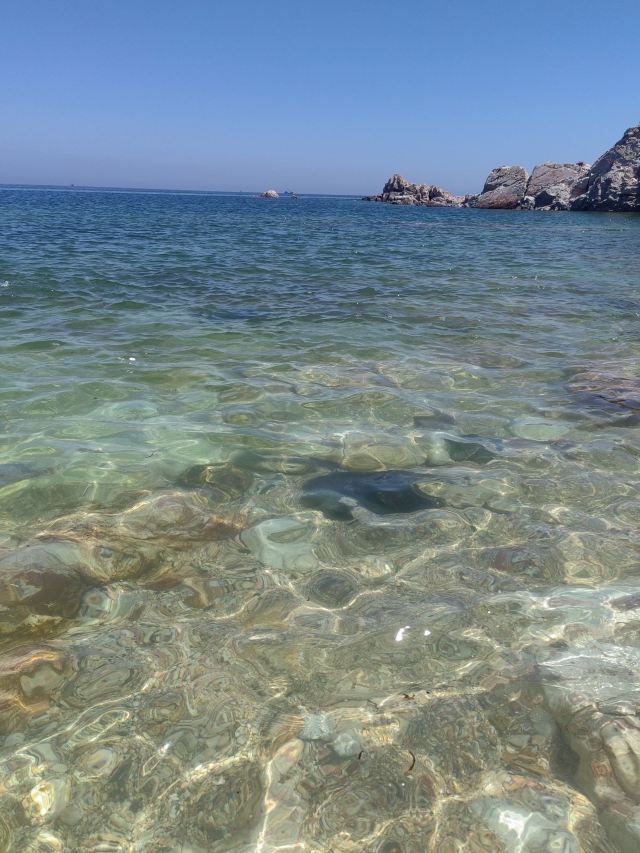 养马岛林间花海旅行图片 4