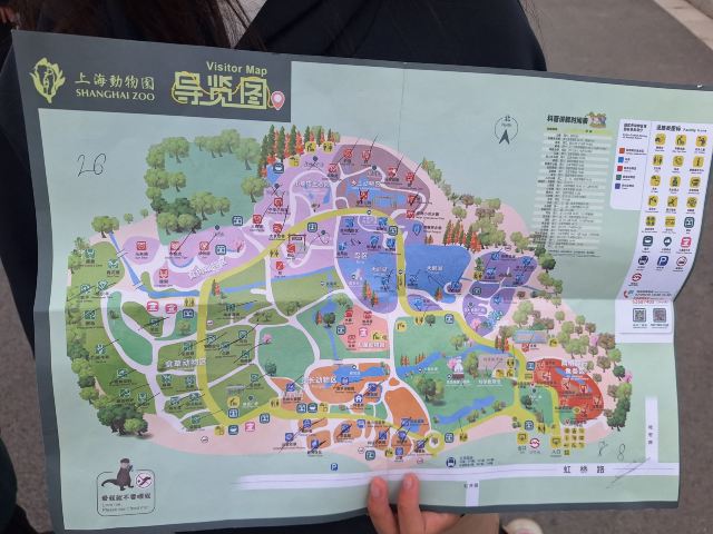 上海动物园旅行图片 2