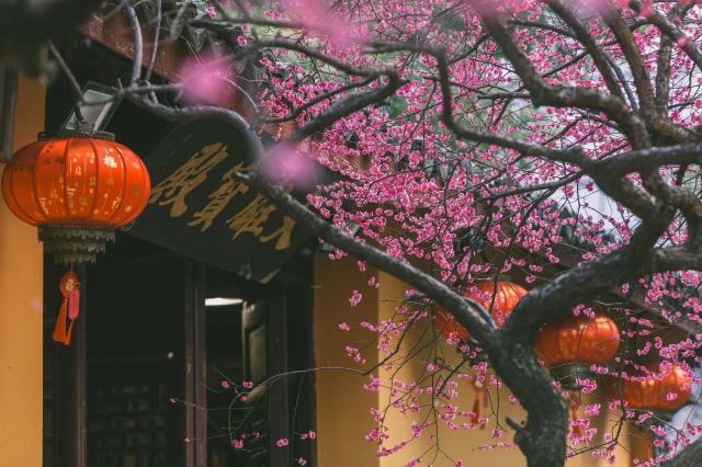 湖州铁佛寺旅行图片 1