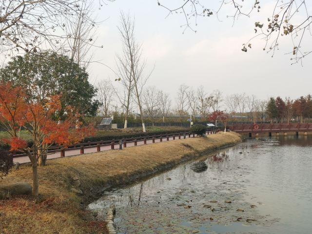 上海浦江之首旅行图片 2