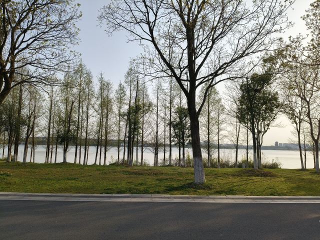 安徽宣城宛陵湖省级湿地公园旅行图片 2