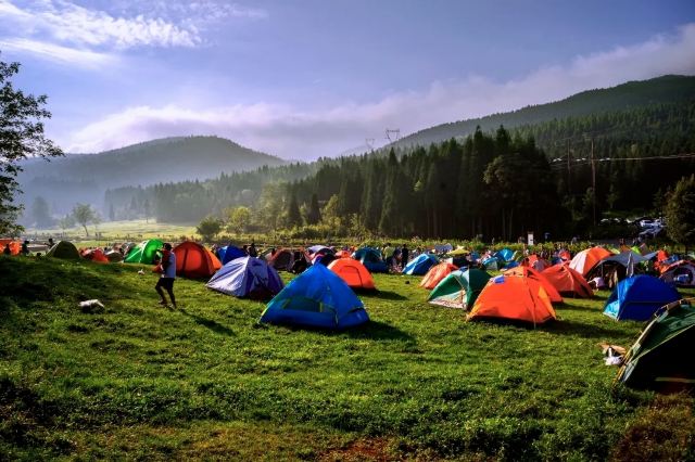 武陵山国家森林公园旅行图片 5