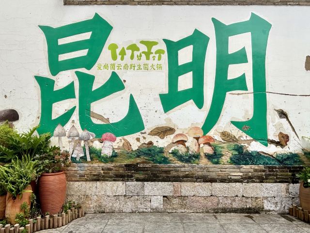 文庙旅行图片 2