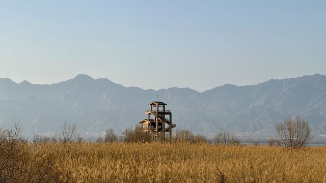 野鸭湖国家湿地公园旅行图片 4