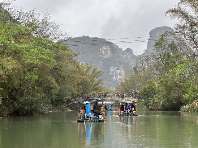 明仕河竹排游旅行图片 3