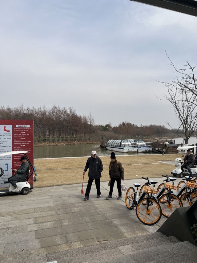上海东滩湿地公园旅行图片 1