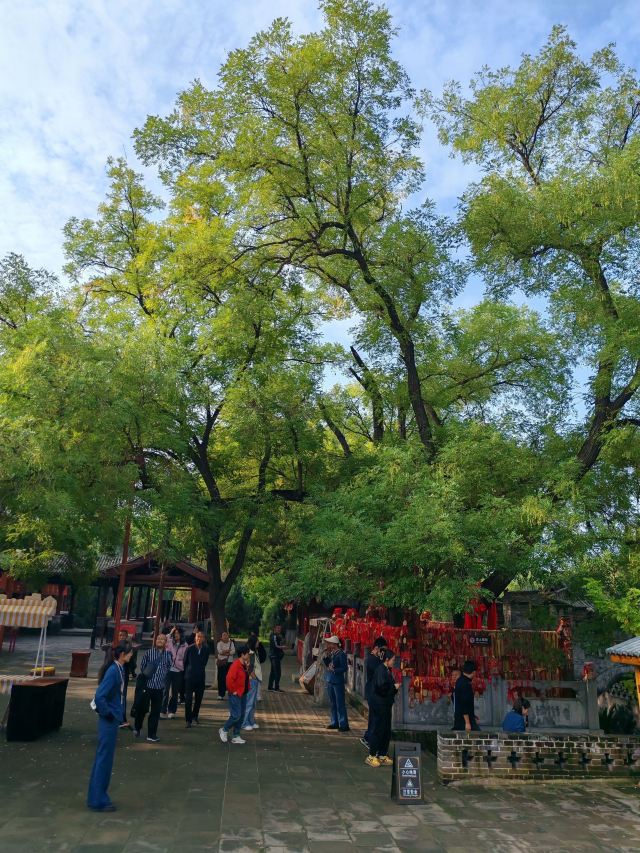 洪洞大槐树寻根祭祖园旅行图片 6