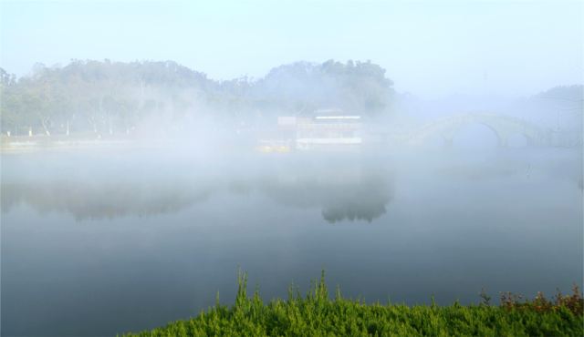 君山岛景区旅行图片 2