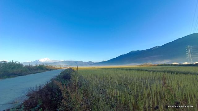 丽江四季花开景区旅行图片 4