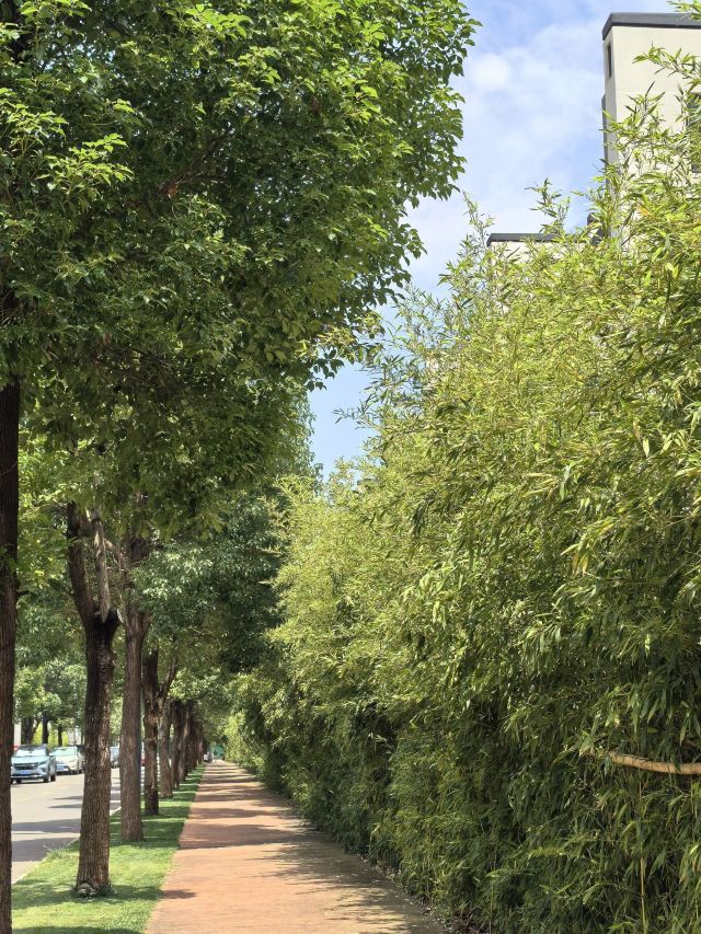 春城公园旅行图片 3