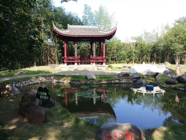 信江书院旅行图片 5