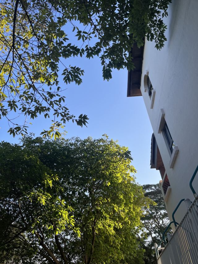 尖岗山公园旅行图片 2