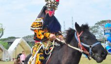 汕头-菠萝豆莎莎