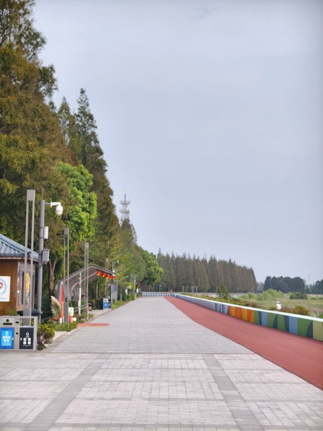 南门景观大堤旅行图片 5