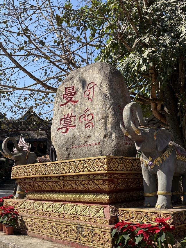 曼掌村旅行图片 1