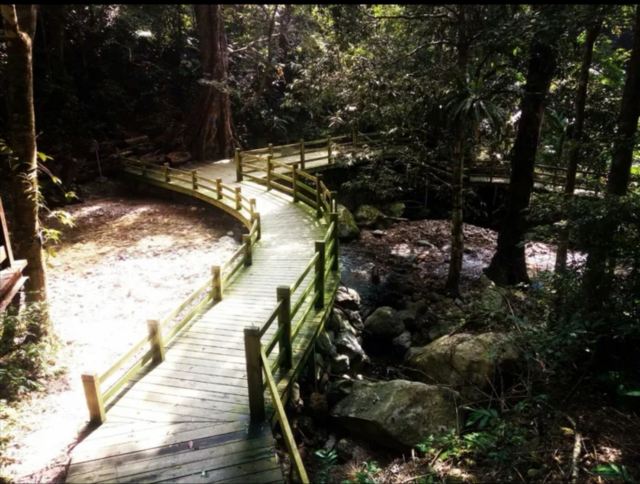 海南热带雨林国家公园五指山景区旅行图片 1