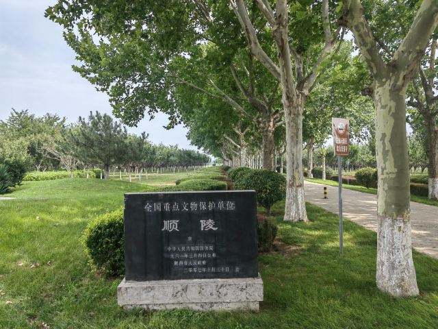 唐顺陵-遗址公园旅行图片 2