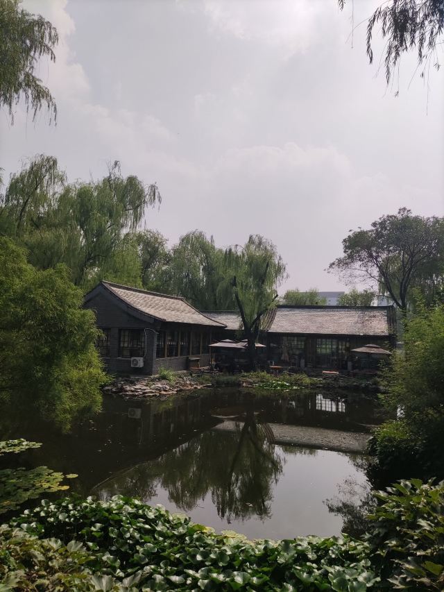 柳荫公园旅行图片 15