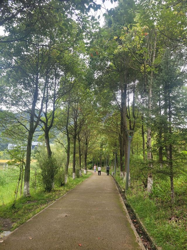 瑶池旅行图片 2