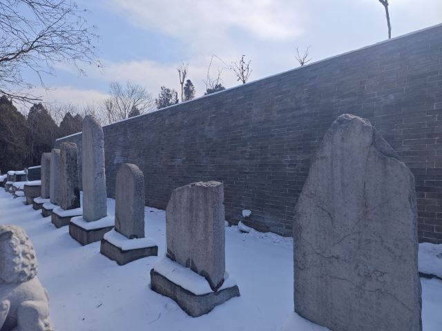唐昭陵旅行图片 10