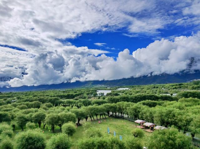 鲁朗林海风景区旅行图片 2