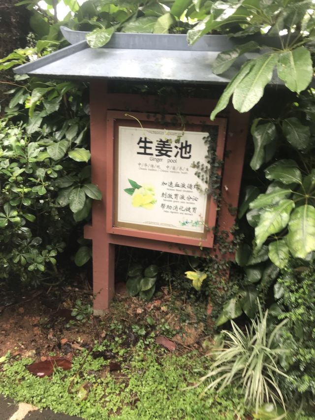 三百山温泉度假公园旅行图片 3