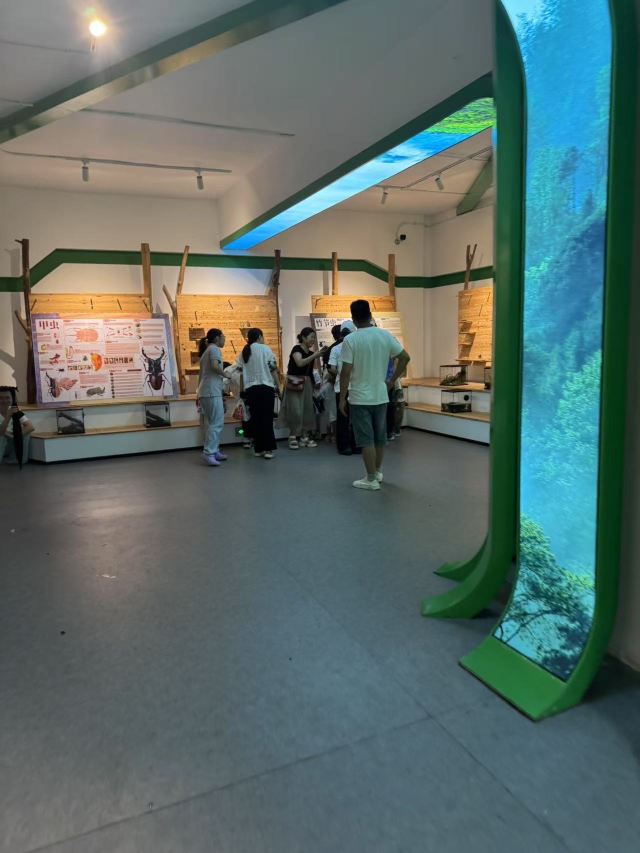 长坡岭国家森林公园旅行图片 1