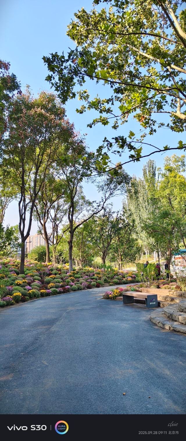 庆丰公园旅行图片 8