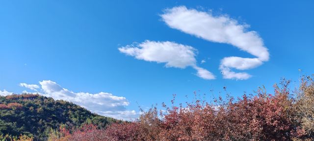 青州井塘古村景区旅行图片 1