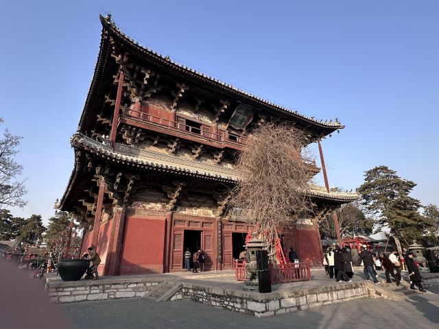 独乐寺旅行图片 2